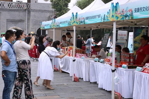 文旅協(xié)作謀發(fā)展 西安文旅對口幫扶陜南三市